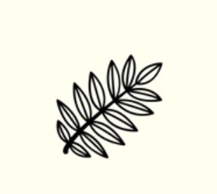 photo Le catalogue des parutions bretonnes est en ligne !